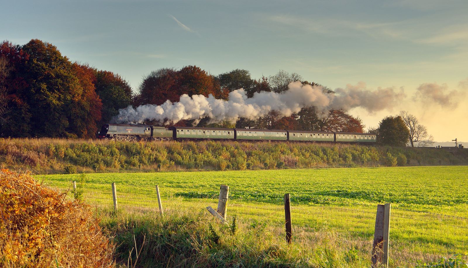 The Watercress Line